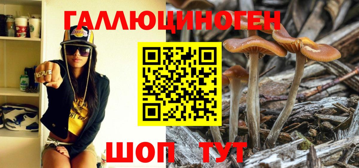 Псилоцибиновые грибы Psilocybe Сергиев Посад